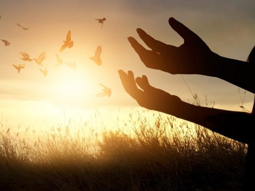 23. La vida según el Espíritu