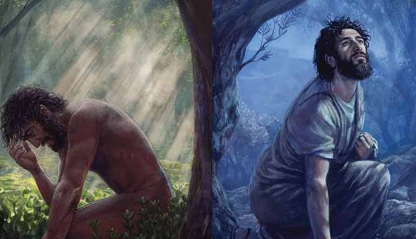 31. El primer y el último Adán